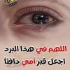 fatima.alouch6