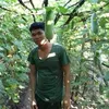 ongdo30