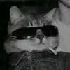 justlaurence_1