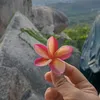 trinhduong111983