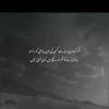 shazadi495068