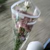amly0036