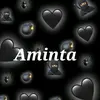 aminta933