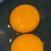 helo64567