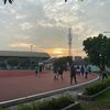 naufallhafidz
