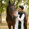 malik_awan_06