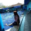 hello_in99
