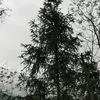lan_0789