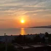 adi.volpe