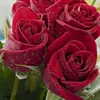 eunice2430