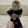 abeleleleel_