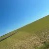 lortfluffy