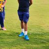 cricket lovers