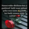 user7002080004834