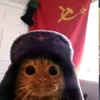 dolbaebn1gorlovova