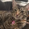 fluffandwhiskers20