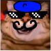 frenchcat534
