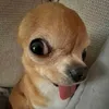 le...chi...cuong