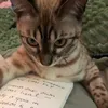oskingauthor
