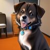 waggles.and.woofs
