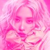 .rose2201