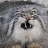 anatolij24.0