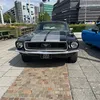 harryelliott639