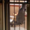 gabbox28