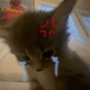 cupcaiphamayxuonggg