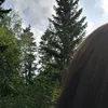 ilovemypoosay2