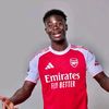 arsenalsbotse