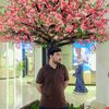 mehranali0112