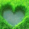 user8868186198638