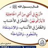 user88178085858435