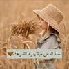 nour.mohamed0334