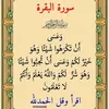 shren_1mzery