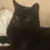 jigglypuff__3