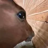 mi.a.f4szt.keresek.itt