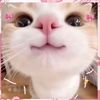 firda_512.5