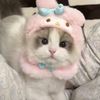 mocha_cat_plays