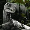 coisinhalegal8263