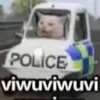 chaddy9114