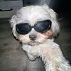 haroll_c