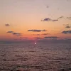vitto_chi