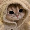 tuflaquito084