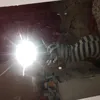 ouxe_lariih