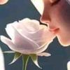 user8423023267794