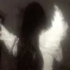 swaanliar
