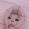 yu.moonhee_77