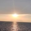 ahmad.royani79